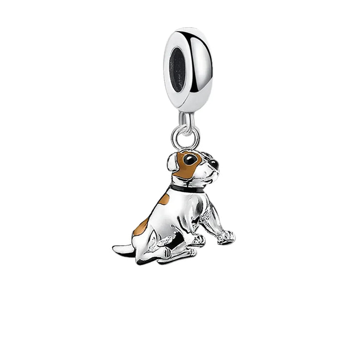 Čar Jack Russell