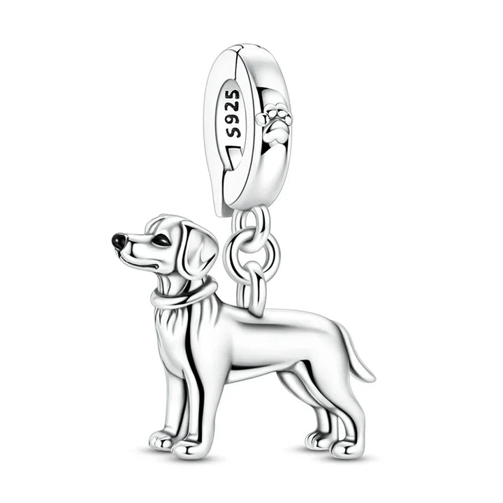 Čar Labrador Retriever